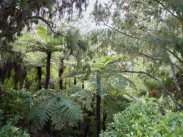 682b Krippner Road Puhoi_15