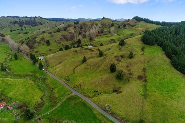 214 Tunanui Road Owhango_3