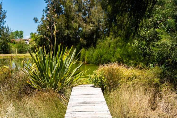 47 Gumdiggers Lane Mangawhai Heads_22