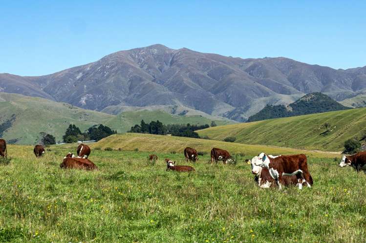 61 Howells Road Maungati_22