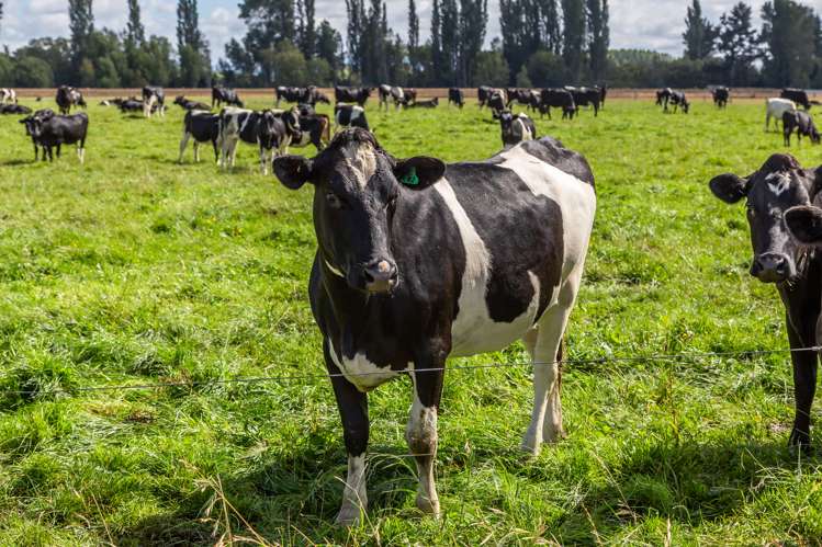 589 Coutts Island Road Coutts Island_8