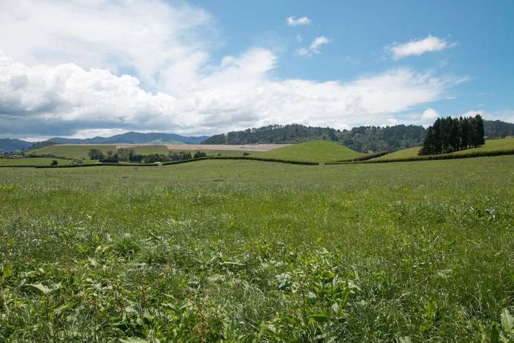 305 Waihi Beach Road Waihi_2