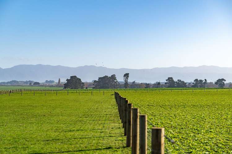 Lake Ferry Road, Dyerville Martinborough_8