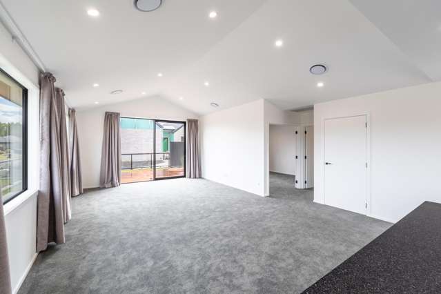 97 Hoffman Court Waikiwi_4