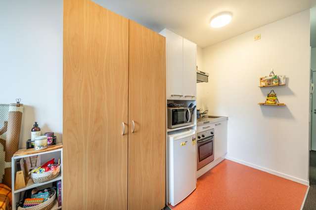 903/169 The Terrace Wellington Central_4