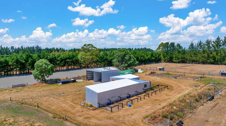 78 Isaac Road Eyrewell_34