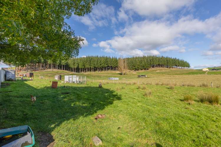 302 Middleton Road Waipukurau and Surrounds_11