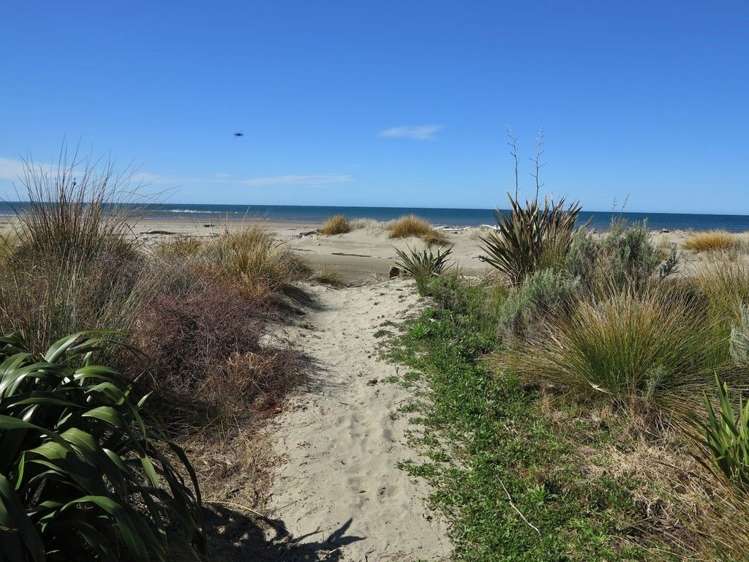 1174 Collingwood-Puponga Kahurangi National Park_15