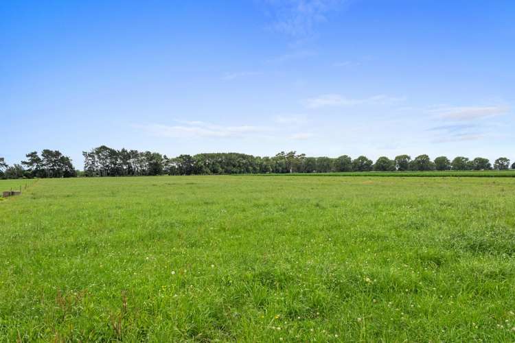 51a Waverley Road Gordonton_3