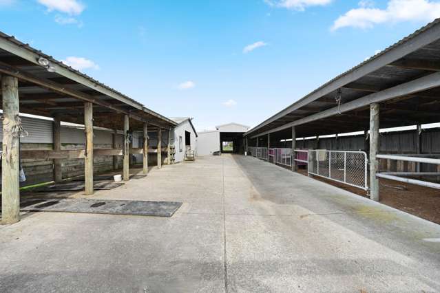 59 Racecourse Road Cambridge_2