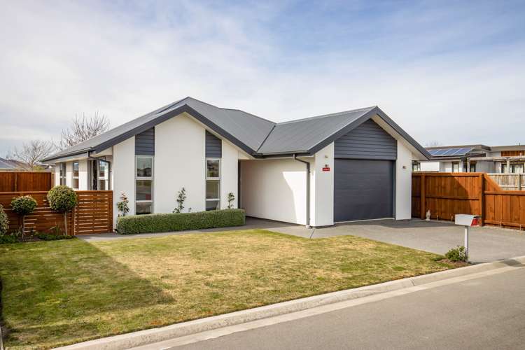 3 Vittoria Lane Pegasus_0