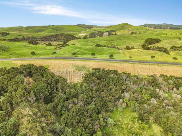 53 Hinamoki Drive Kaiwaka_2