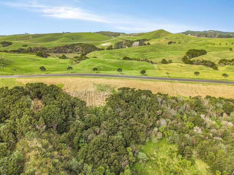 53 Hinamoki Drive Kaiwaka_2