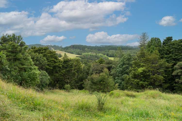 85 Abbey Caves Road Abbey Caves_38