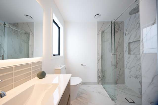 24 Morrin Street Morrinsville_3