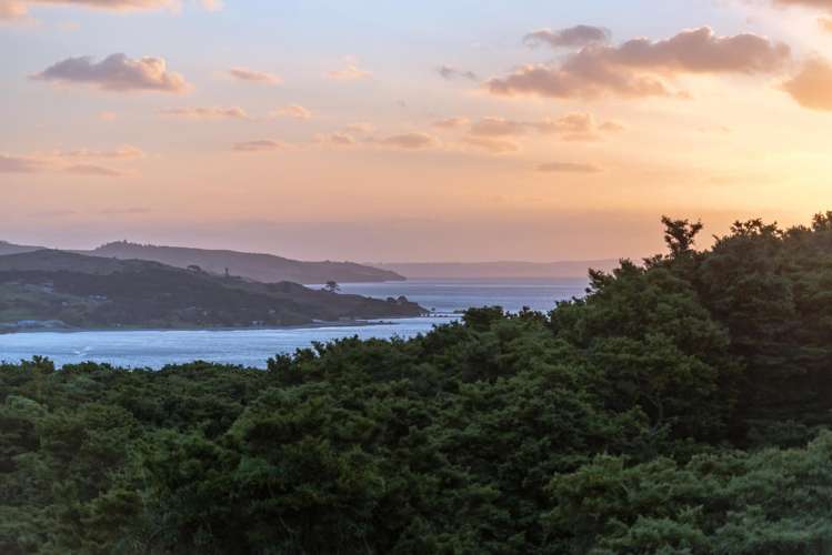 205 Takahoa Drive Kaiwaka_25