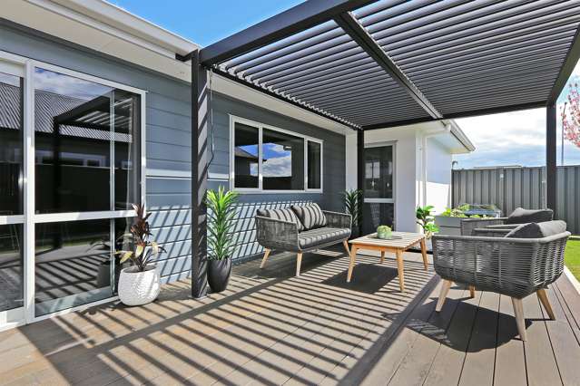 246 Guppy Road Taradale_1