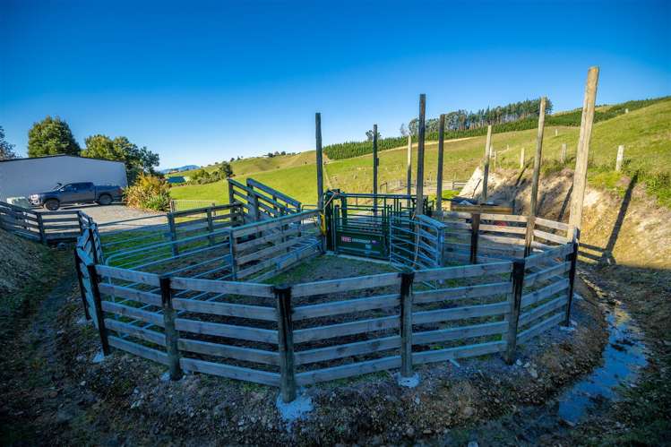 99 Redwood Park Road Redwood Valley_32