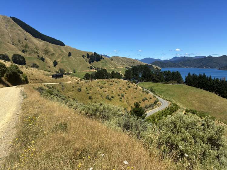 Cissy Bay Road, Cissy Bay French Pass_19