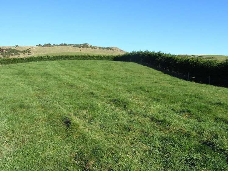 31 Hamlet Street Riverton_8