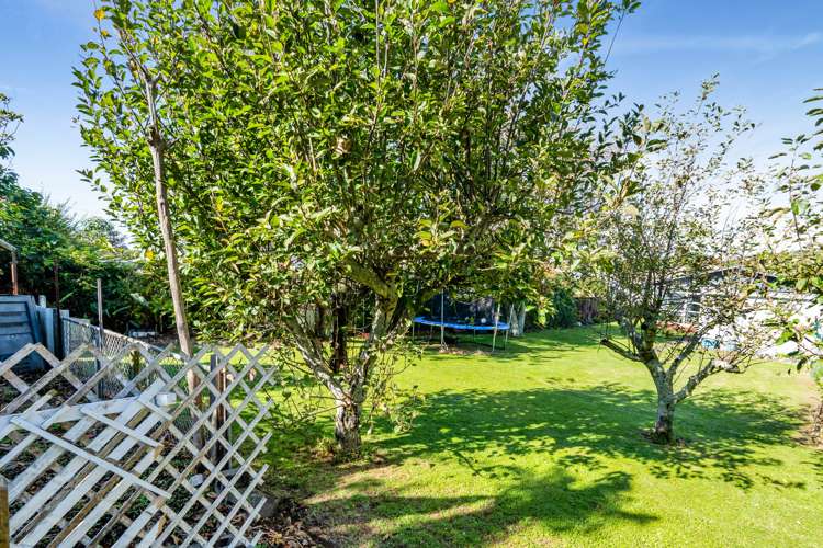 16 Walsh Road Westown_34