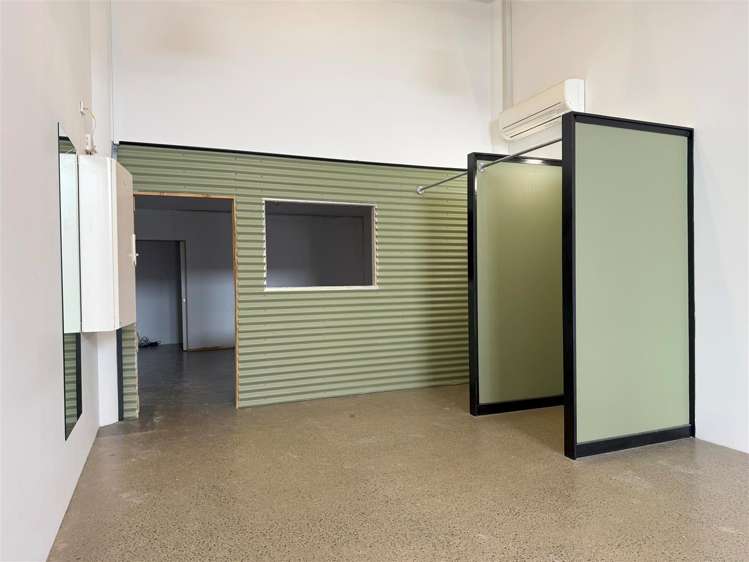 8 Lombard Lane Te Aro_5