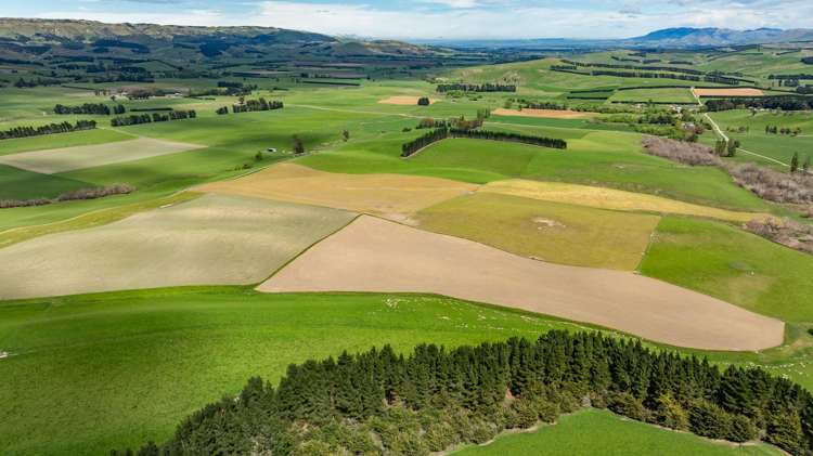 1443 Omihi Road Omihi_30