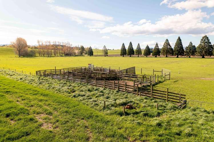 Rowallan Road Darfield_24