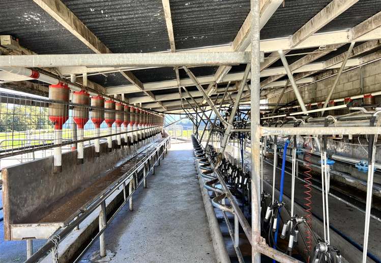 522 Gannon's Road Reefton_9