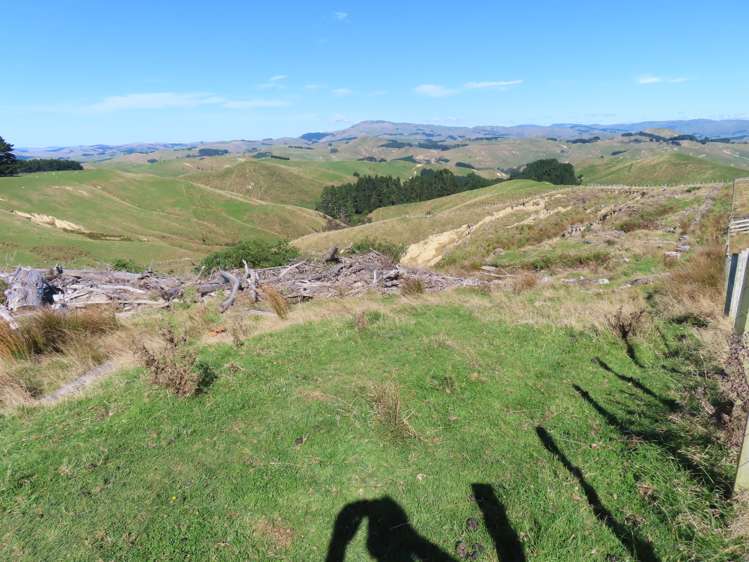 210 Mangamaire Road Dannevirke_5