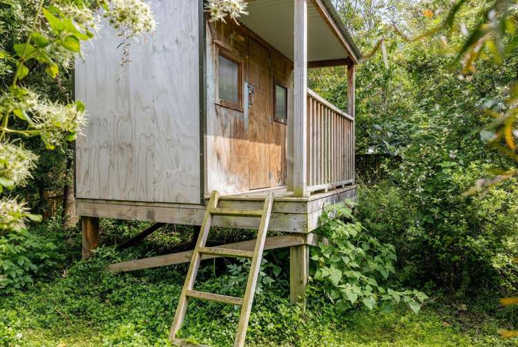 40 Shamrock Street Takaro_26