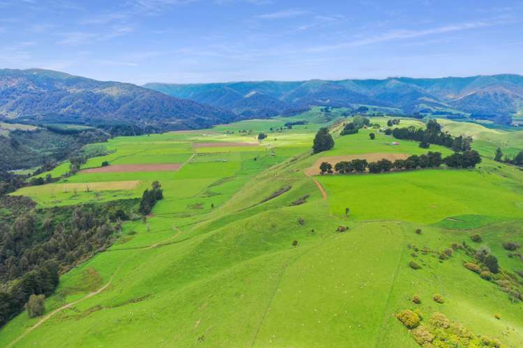 451 Table Flat Road Apiti_7