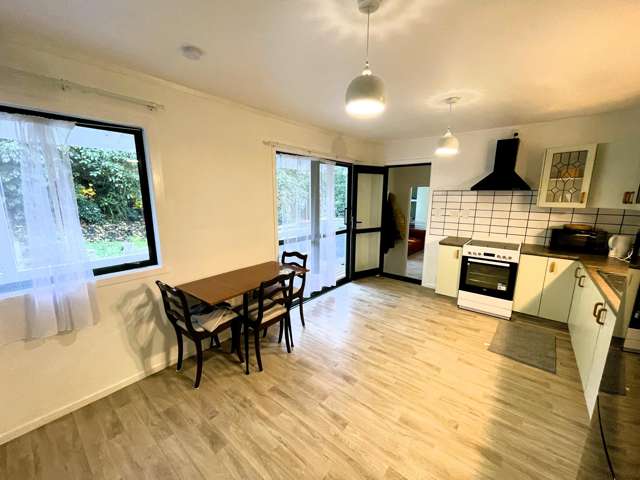 59 & 61 Wilson Road Balclutha_4