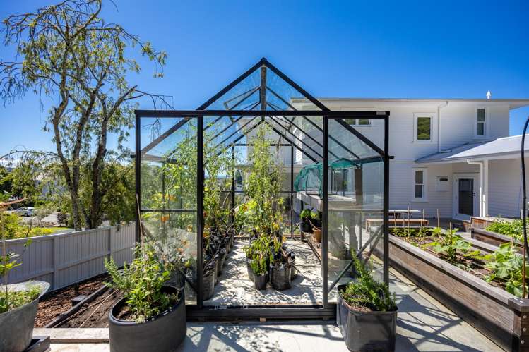 48 Brougham Street Nelson South_6