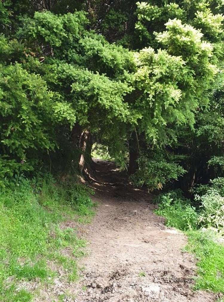 25 Lewthwaites Road Little River_19