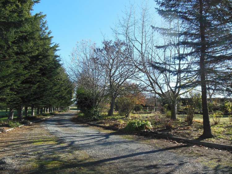 628 Levels Plain Road Kerrytown_22