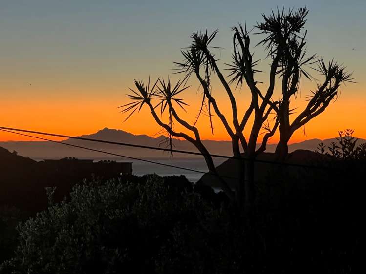 58 Tannadyce Street Strathmore Park_17