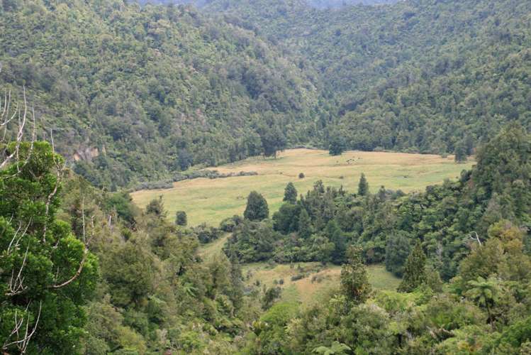 544 Mohakatino Road Mokau_22