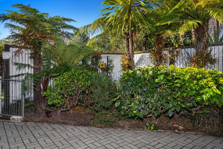 130a Douglas Street Whakatane_16