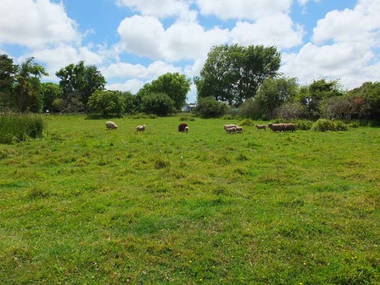 65 Avenue Road Foxton_6