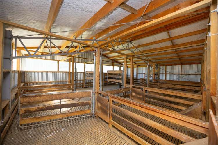 1691 Kawhatau Valley Road Mangaweka_22