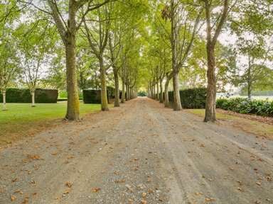 371 Racecourse Road_1