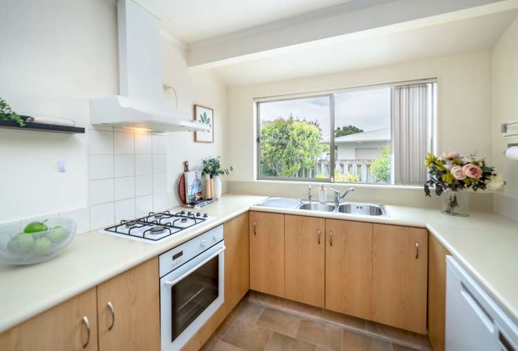 31 Reading Street Greytown_11