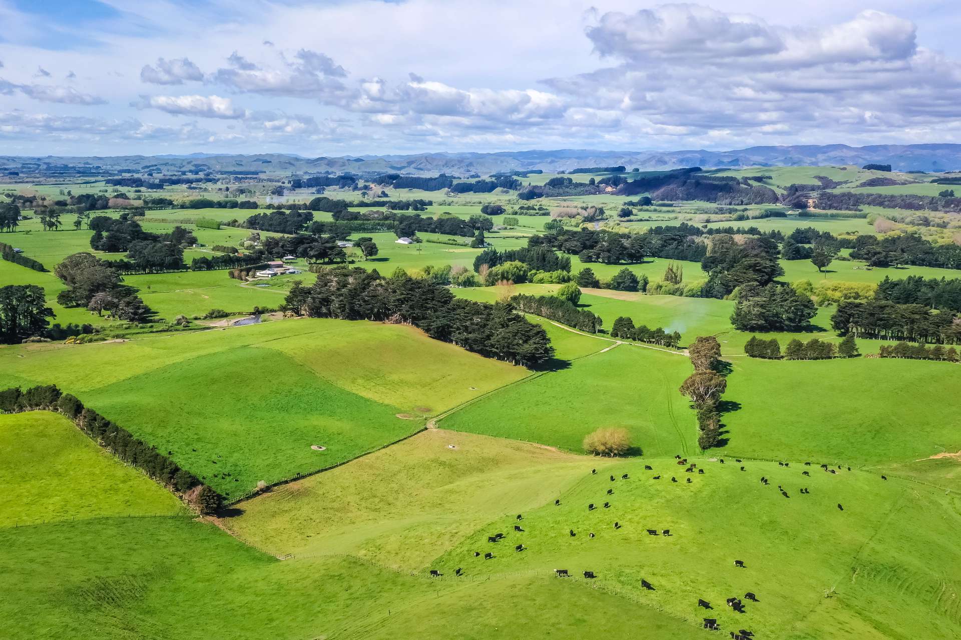 Post Office Road Pahiatua_0