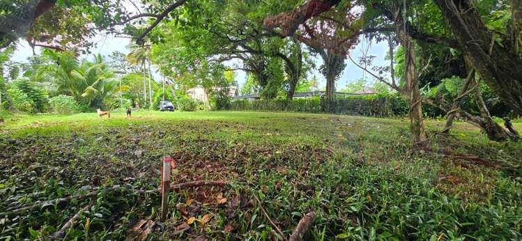 Address withheld Pacific Harbour_11