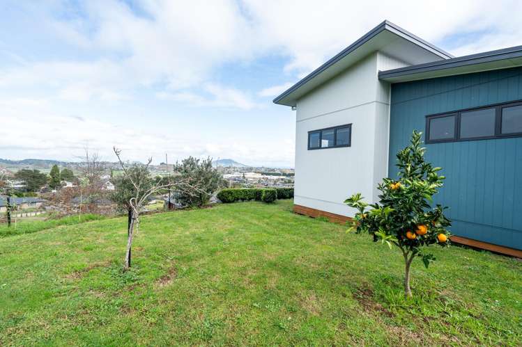 325 Picquet Hill Road Te Awamutu_19
