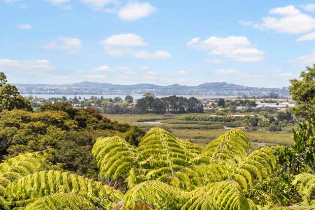 19B Darcy Place Massey_4