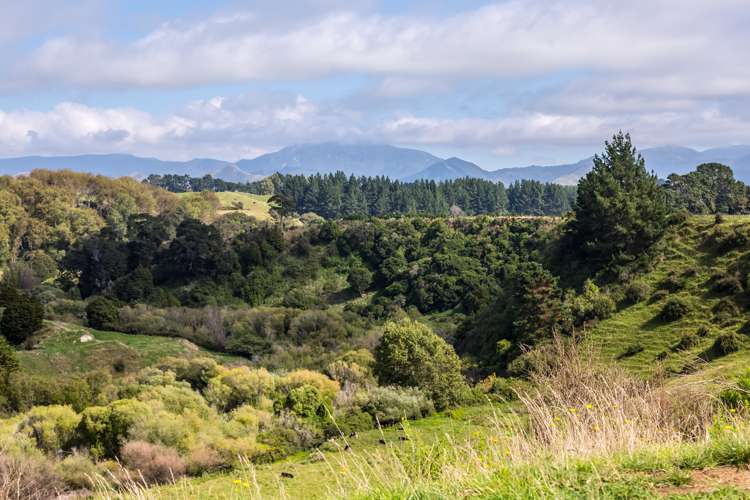 200 Garfield Road Norsewood_24