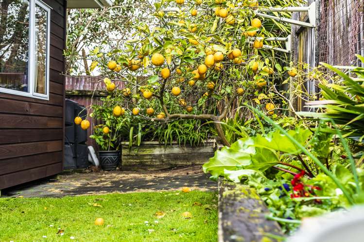 167a Grey Street Onehunga_19