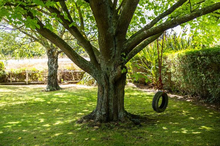 1091 Halcombe Road Halcombe_23